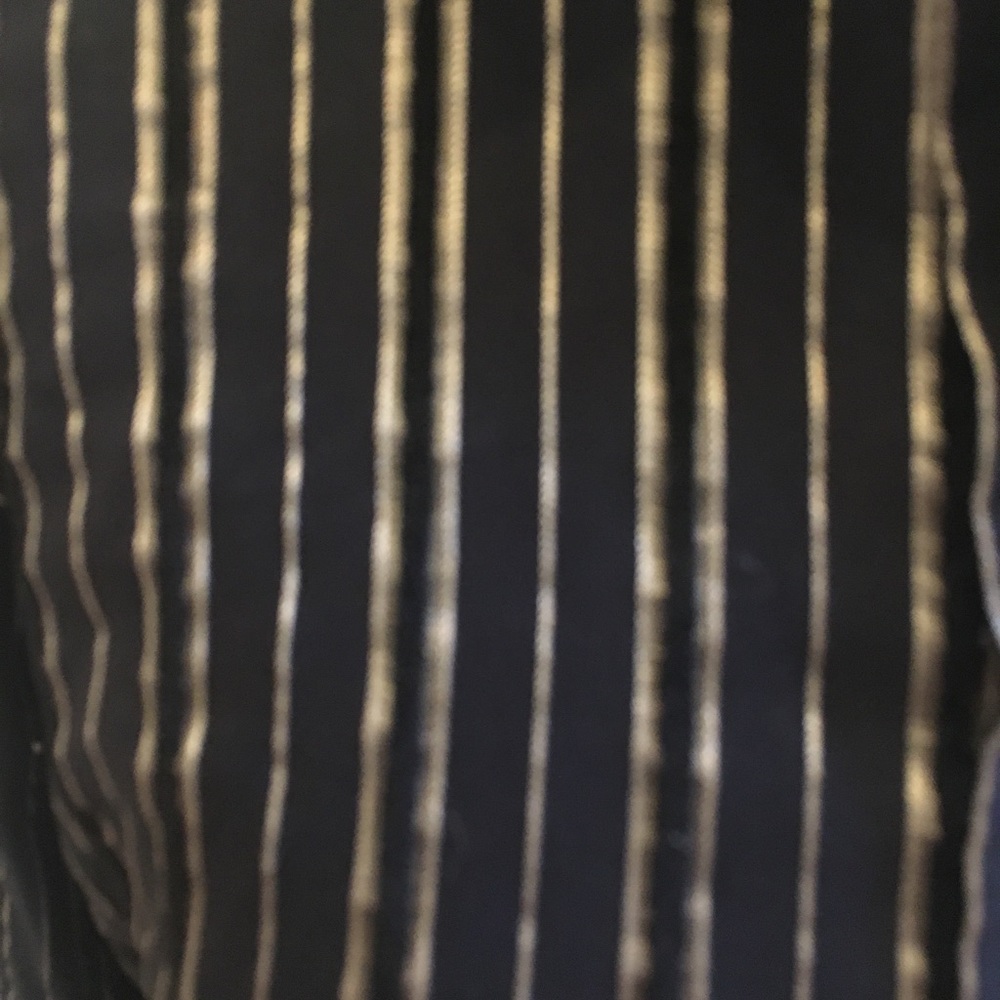 Zara Basic Metallic Striped Button-Down Blouse Si… - image 3